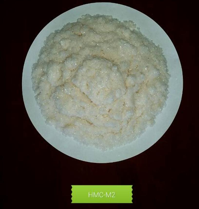 HMC-M2���w
