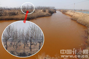 ӱʮ(qing)ݶˮԵ ƉľˮԴ